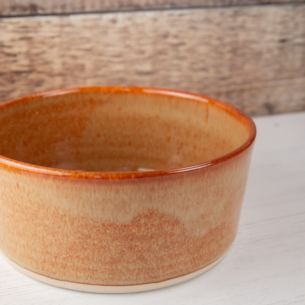 Stoneware Pet Bowl – Fiery Orange