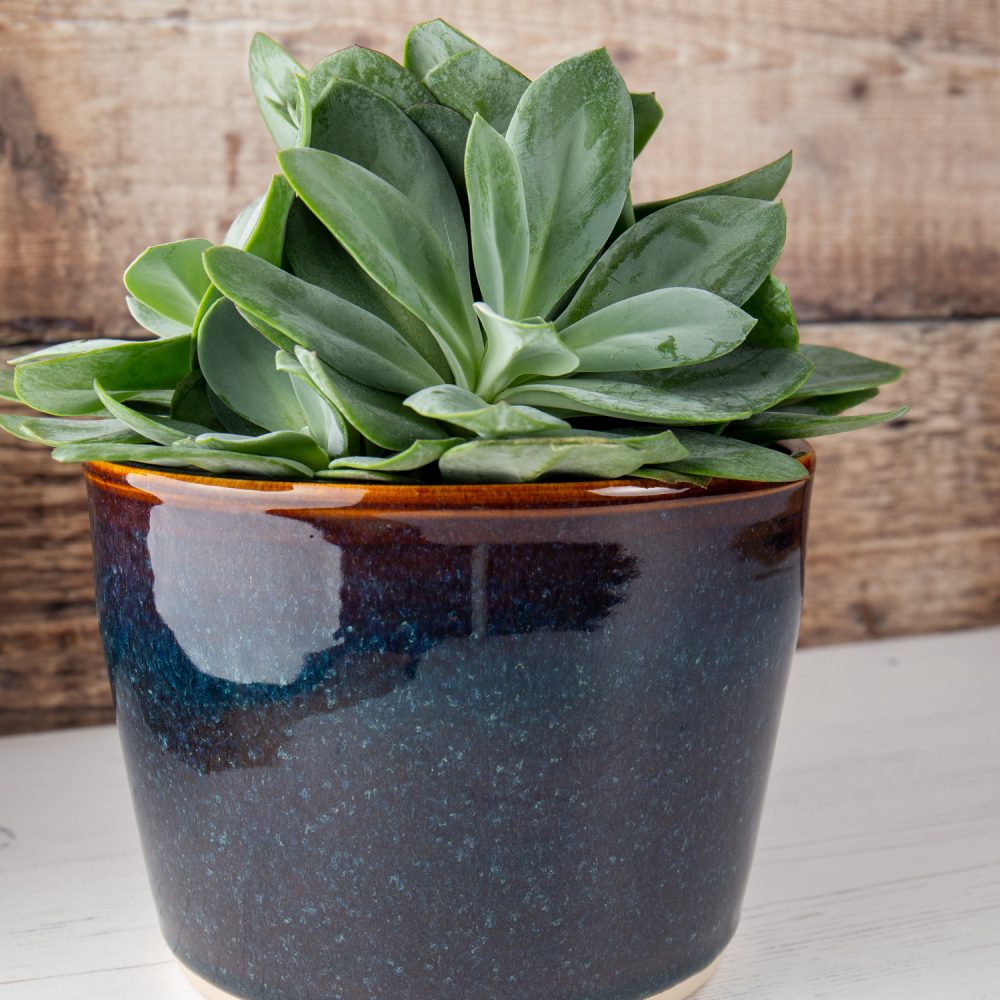 Blue Amber Stoneware Plant Pot Holder