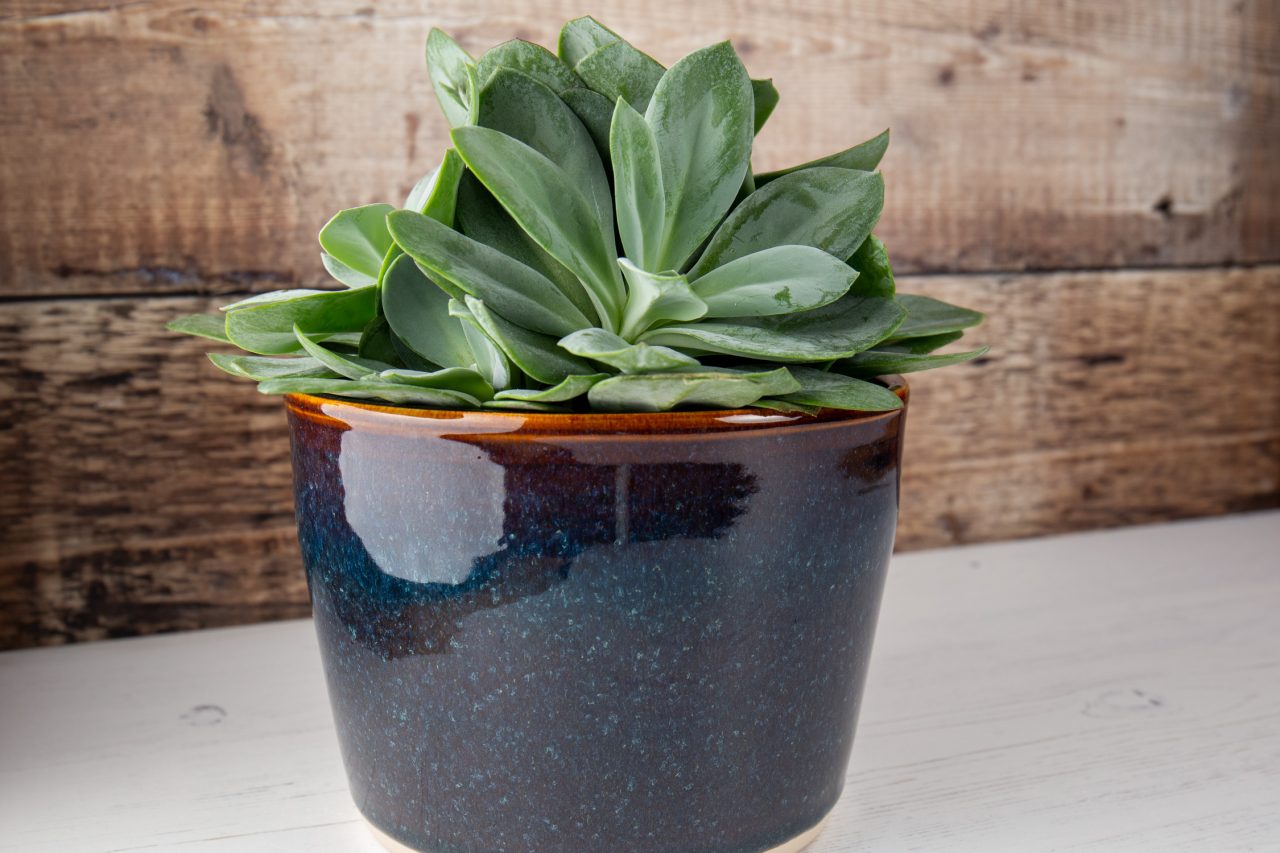 Blue Amber Stoneware Plant Pot Holder